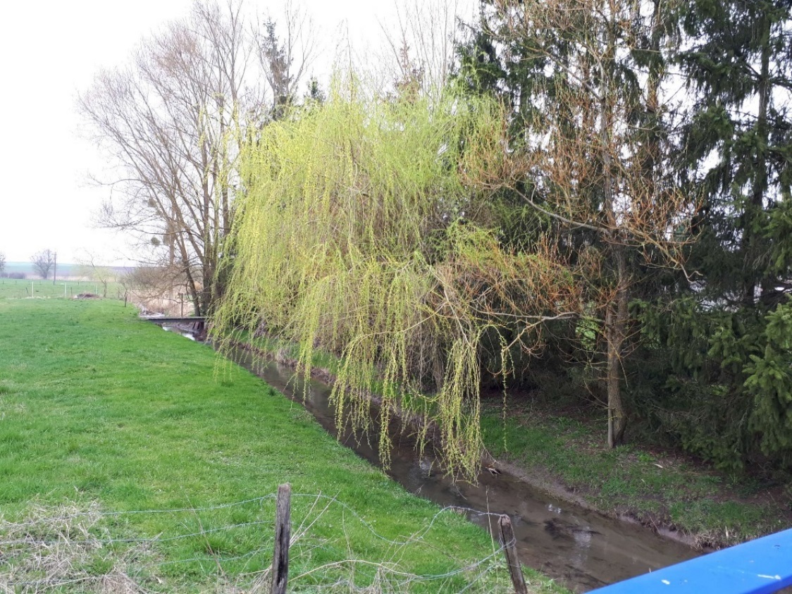 Restauration  du ruisseau du Lenzbronnerbach sur le territoire de la commune de VIRMING